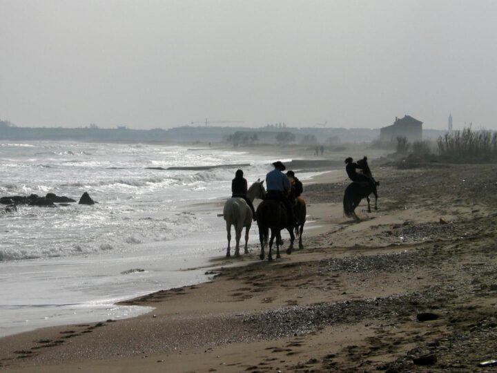 Морський сад